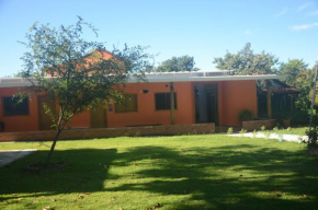 Amanduarte Brasília